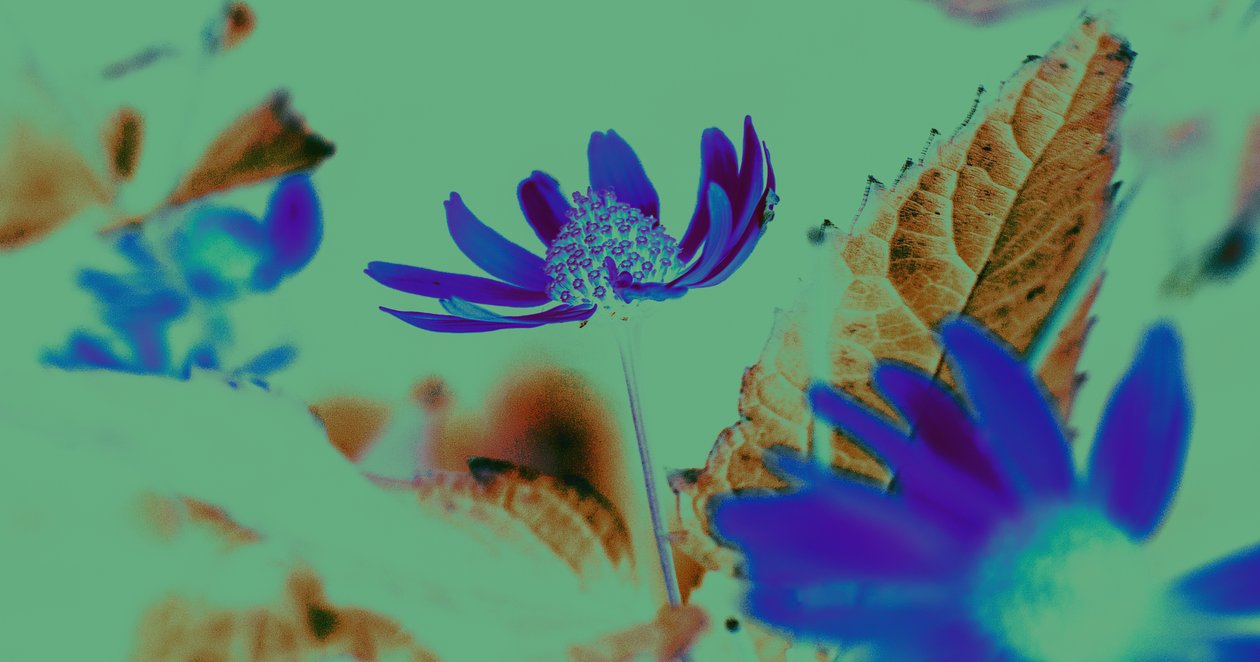 UV Visie, 2019 door Alex Caminker