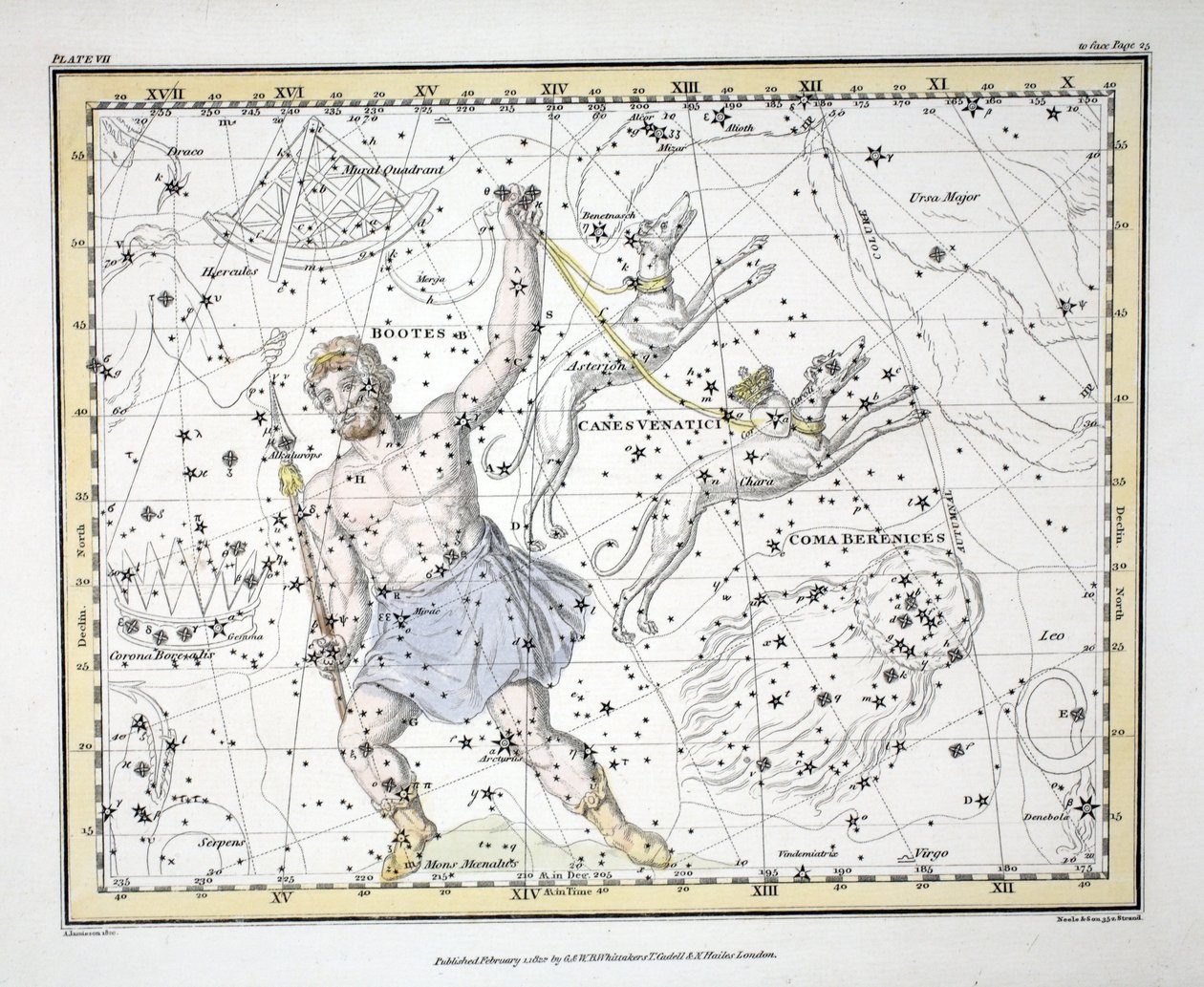 De sterrenbeelden (Plaat VII) Bootes en Mons Maenalus, Asterion en Chara of Canes Venatici, Coma Berenices, uit 