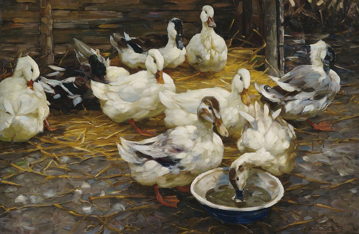 Eenden in het stro door Alexander Koester