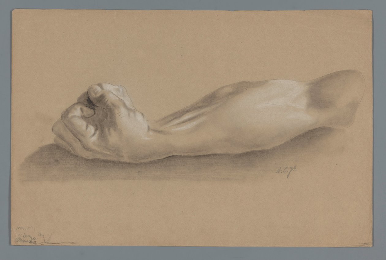 Gipsmodel van een arm met gebalde vuist door Alexander Cranendoncq