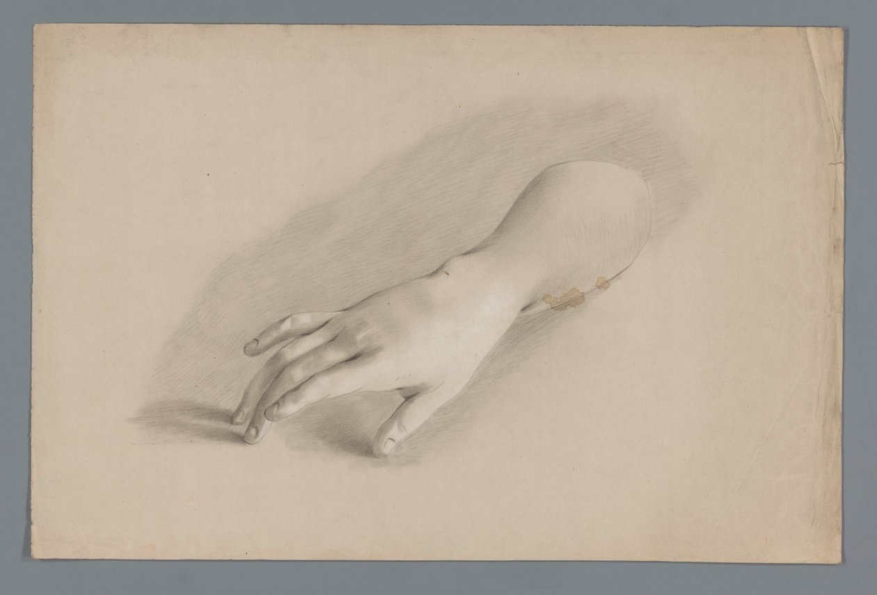 Gipsmodel van een hand door Alexander Cranendoncq