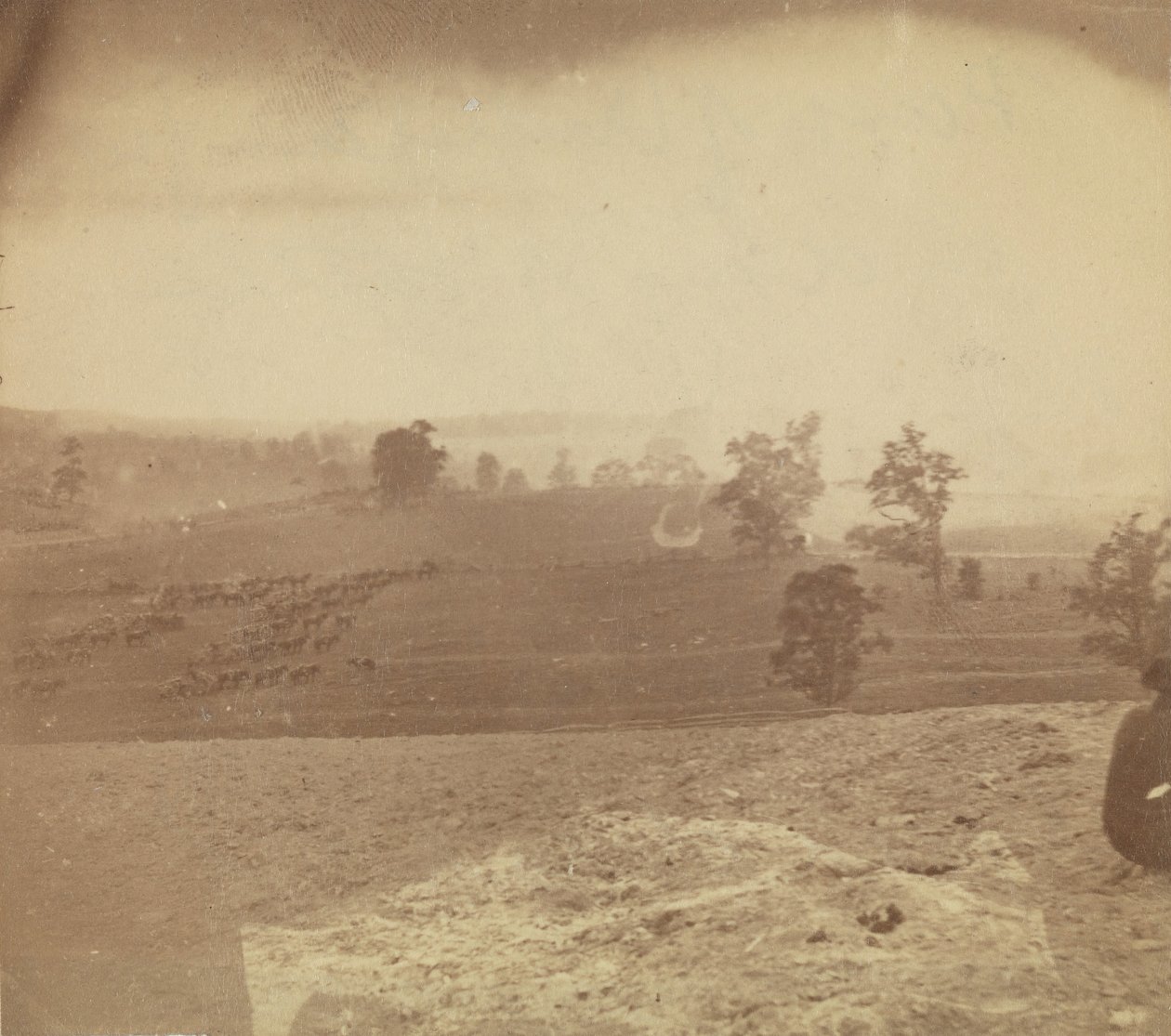 [Antietam Slagveld], 1862 door Alexander Gardner