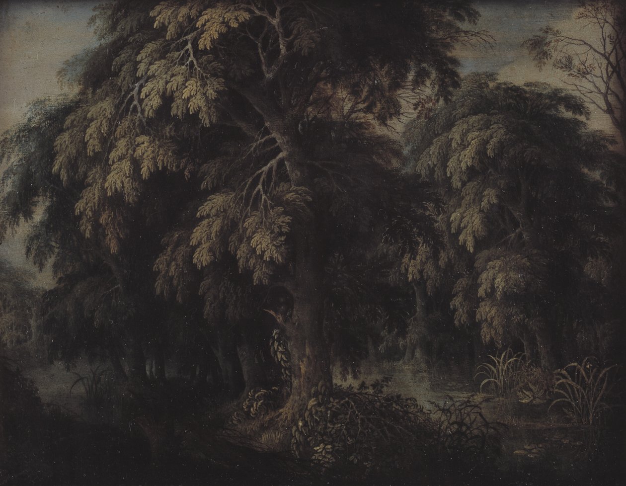 Boslandschap door Alexander Keirincx