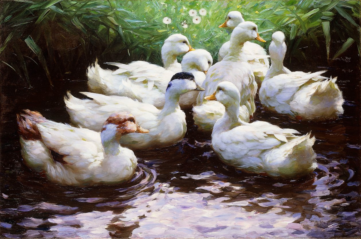 Aan Land (Eenden) door Alexander Koester