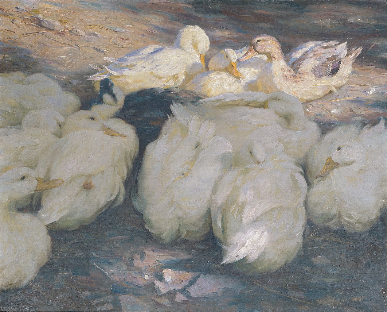 In de avondzon door Alexander Koester