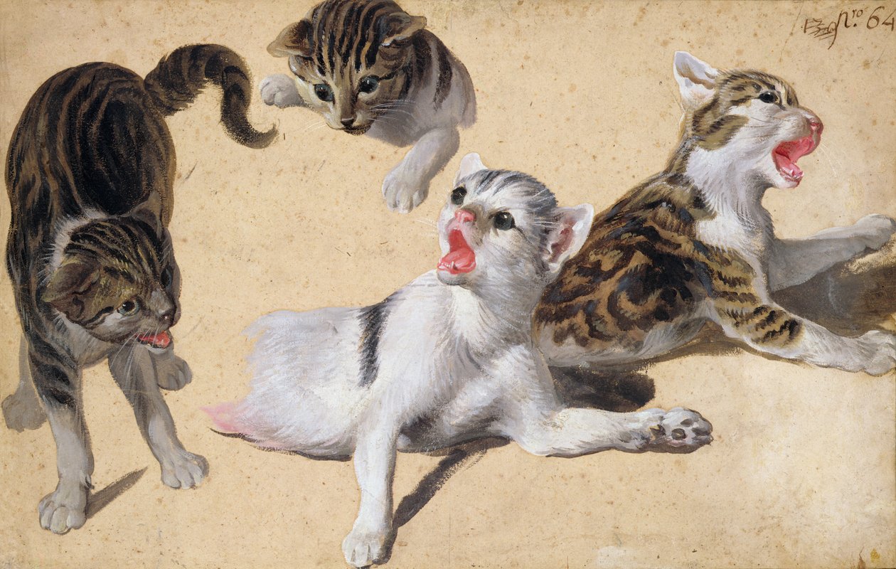 Vier Studies van Kittens door Alexandre Francois Desportes