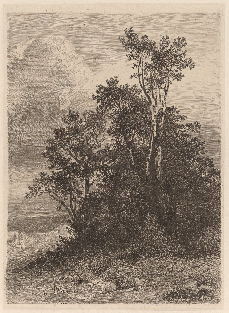 Boomgroep door Alexandre Calame
