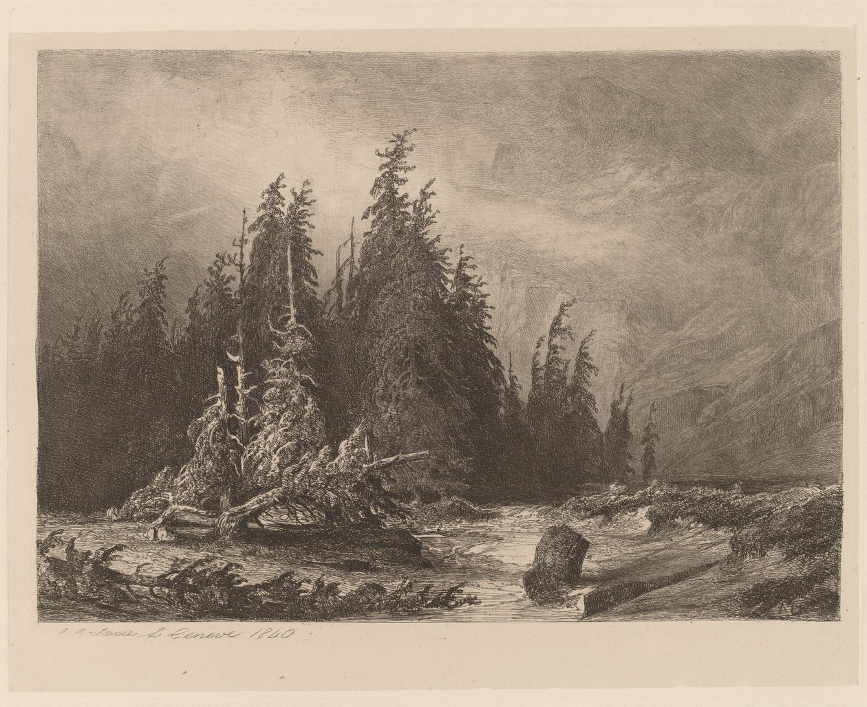 Bergdennen door Alexandre Calame