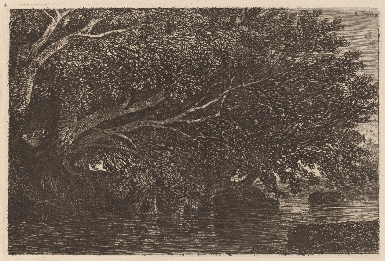 Bomen die over een Vijver Hangen door Alexandre Calame