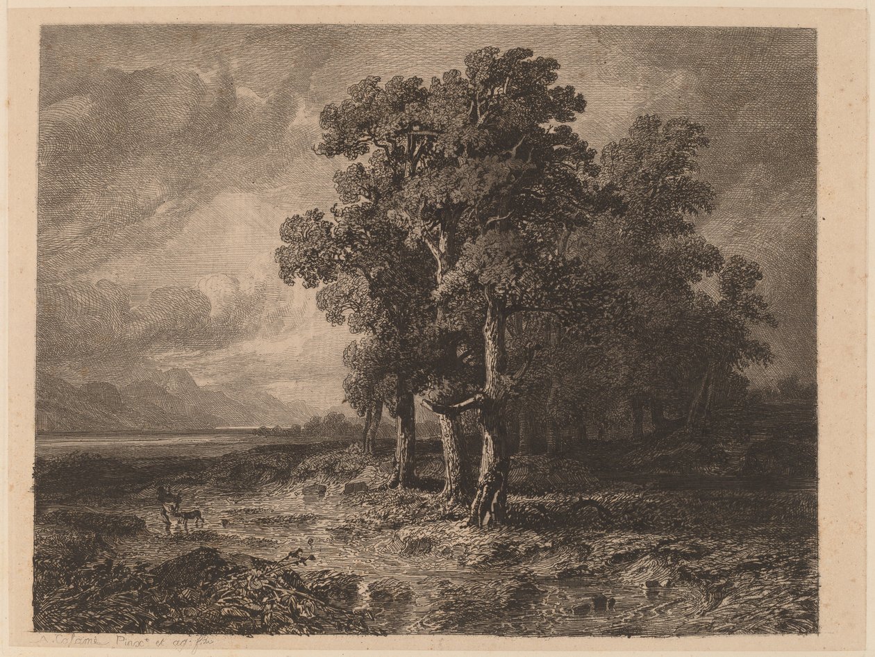 Bomen in een storm door Alexandre Calame