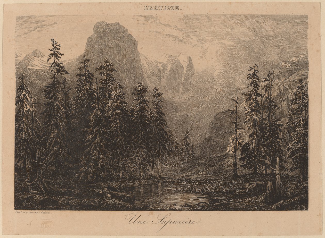 Een Sparrenbos door Alexandre Calame