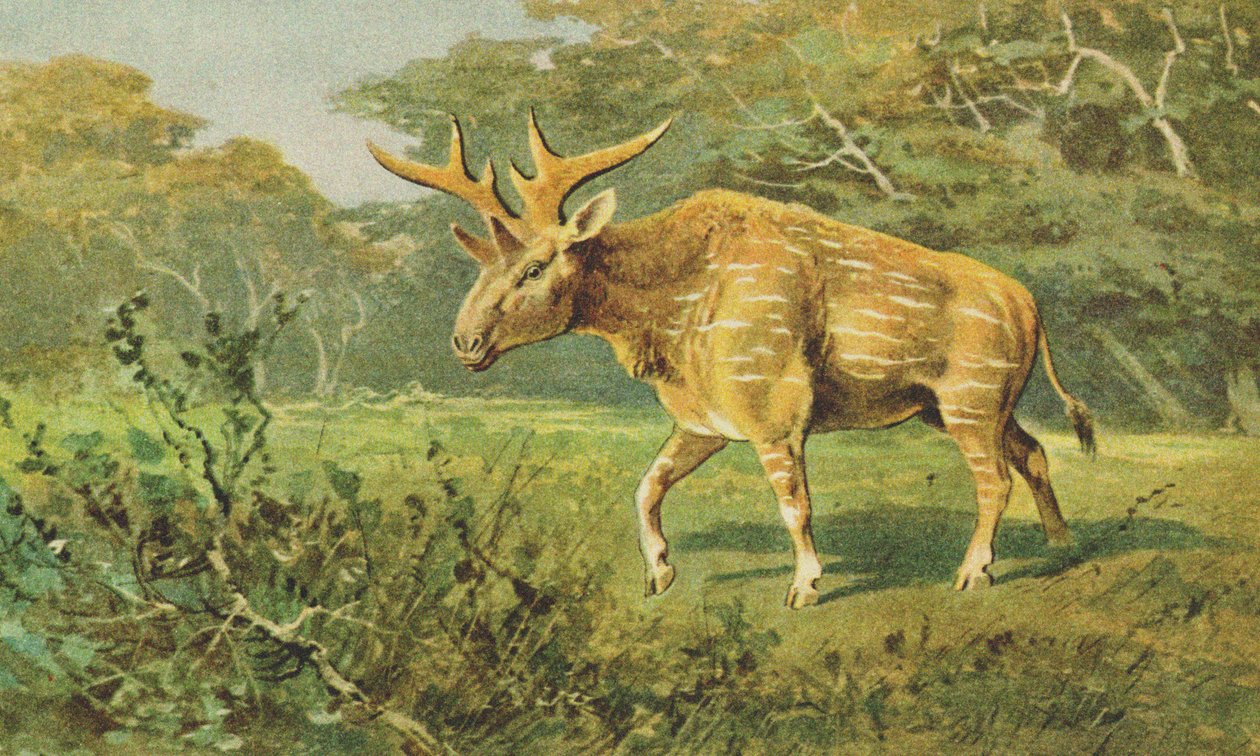 Sivatherium ca. 1900 door Alfred Brehm