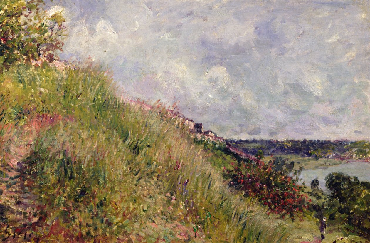 De Seine, uitzicht op de hellingen van By, 1881 door Alfred Sisley