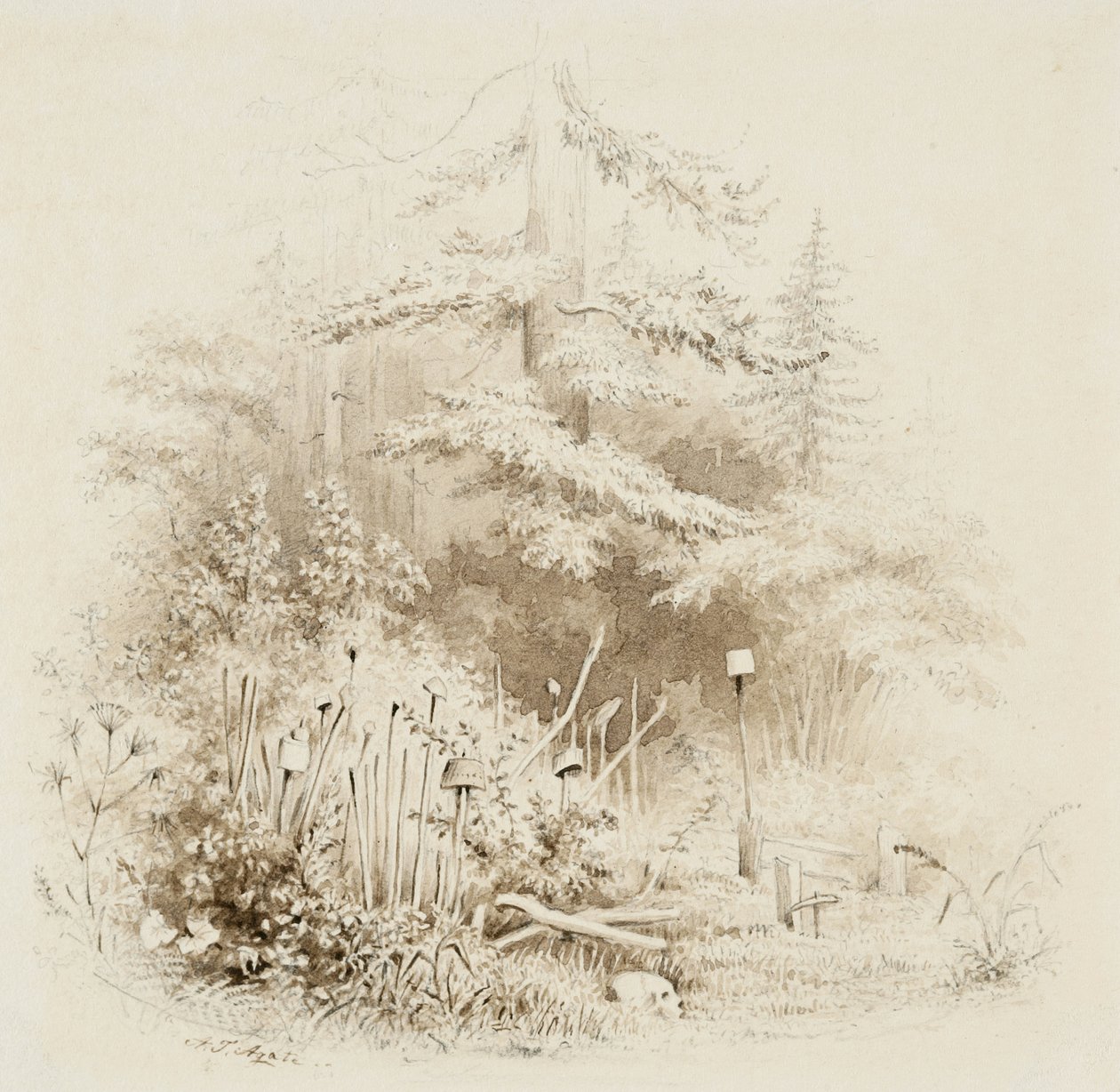 Indiaanse begraafplaats, Oregon, 1841 door Alfred Thomas Agate