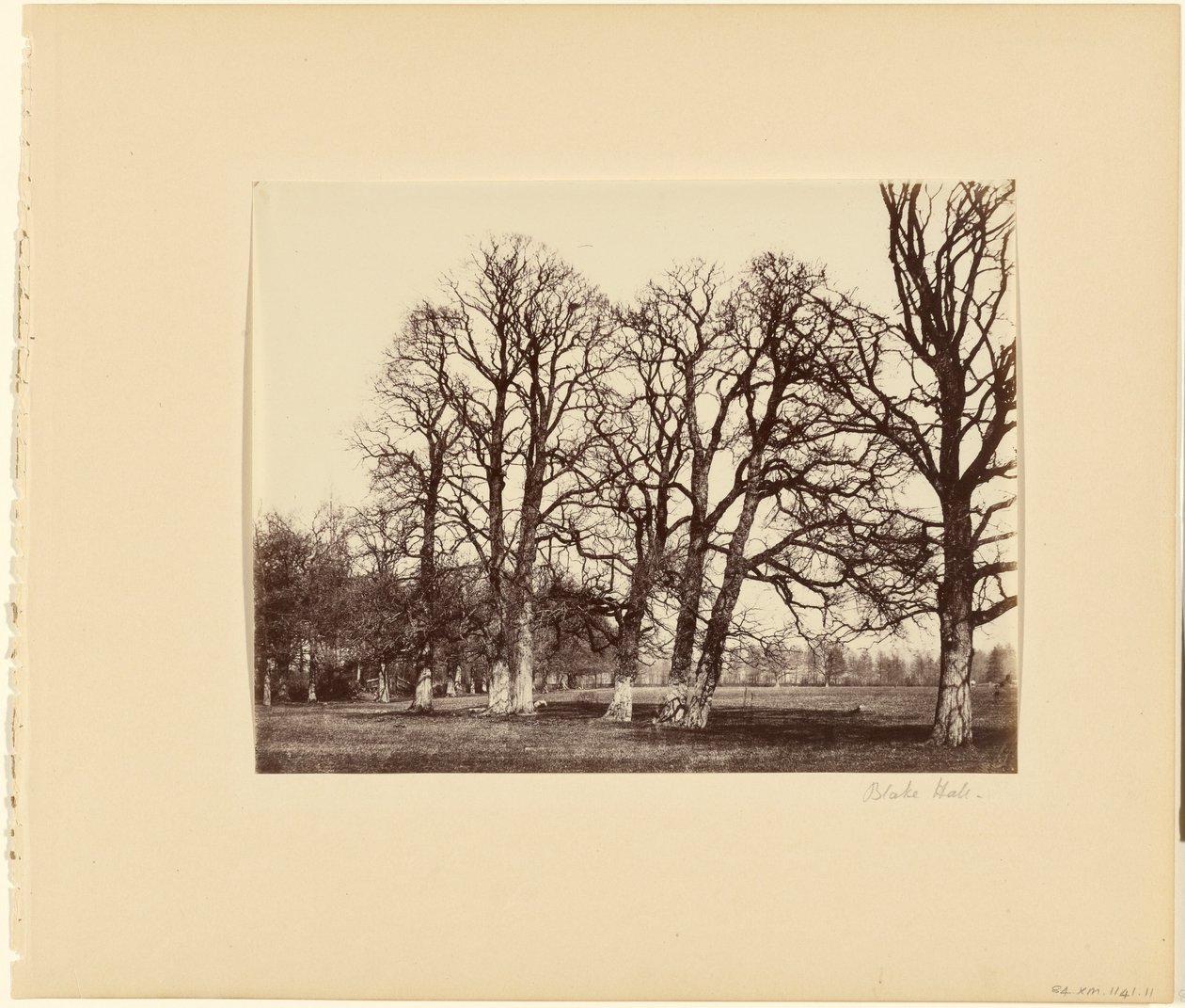 Blake Hall door Alfred Capel Cure