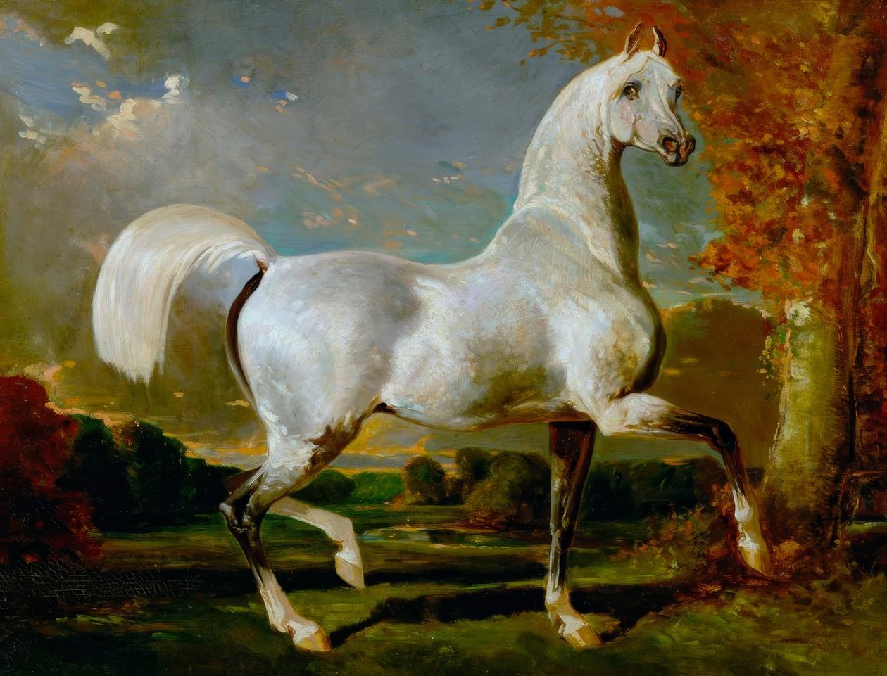 Arabische hengst door Alfred Dedreux