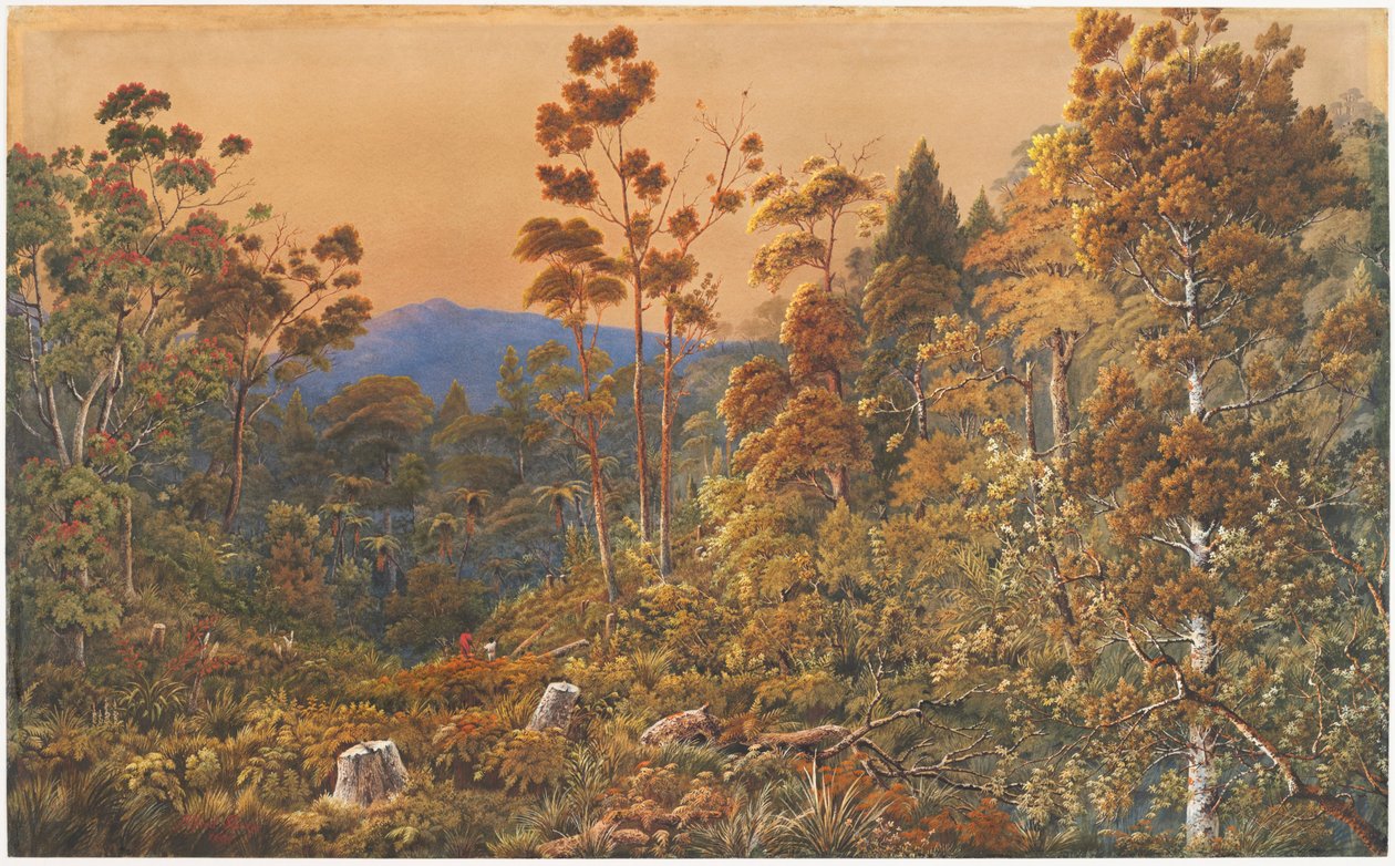 Een gouden avond, Waiheke Island door Alfred Sharpe