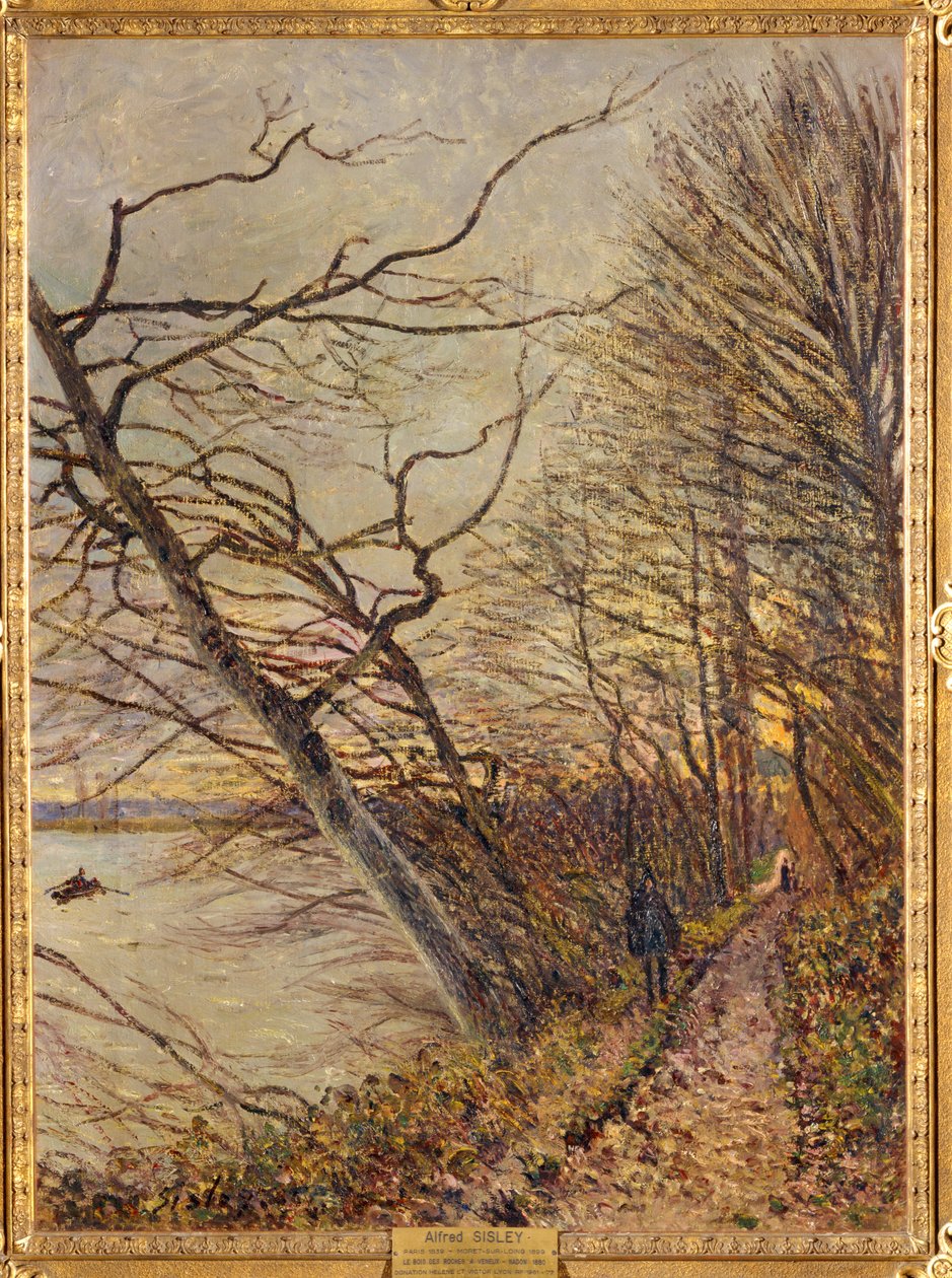 Le Bois des Roches, Veneux-Nadon ... door Alfred Sisley