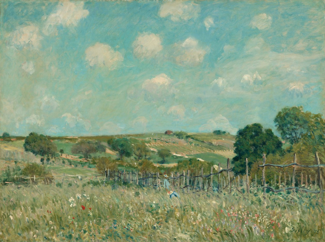 Weide door Alfred Sisley