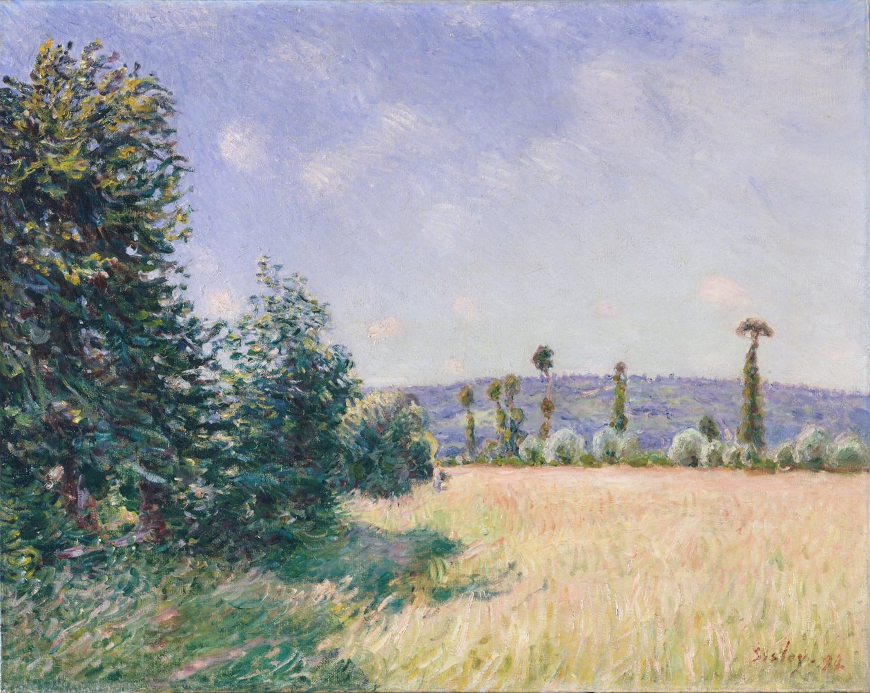 Sahurs weiden in ochtendzon, 1894 door Alfred Sisley