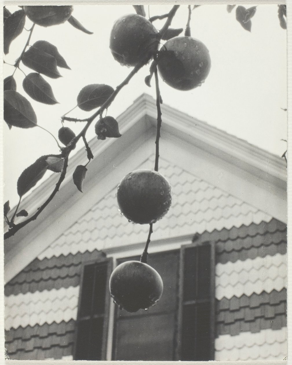 Gevel en Appels door Alfred Stieglitz