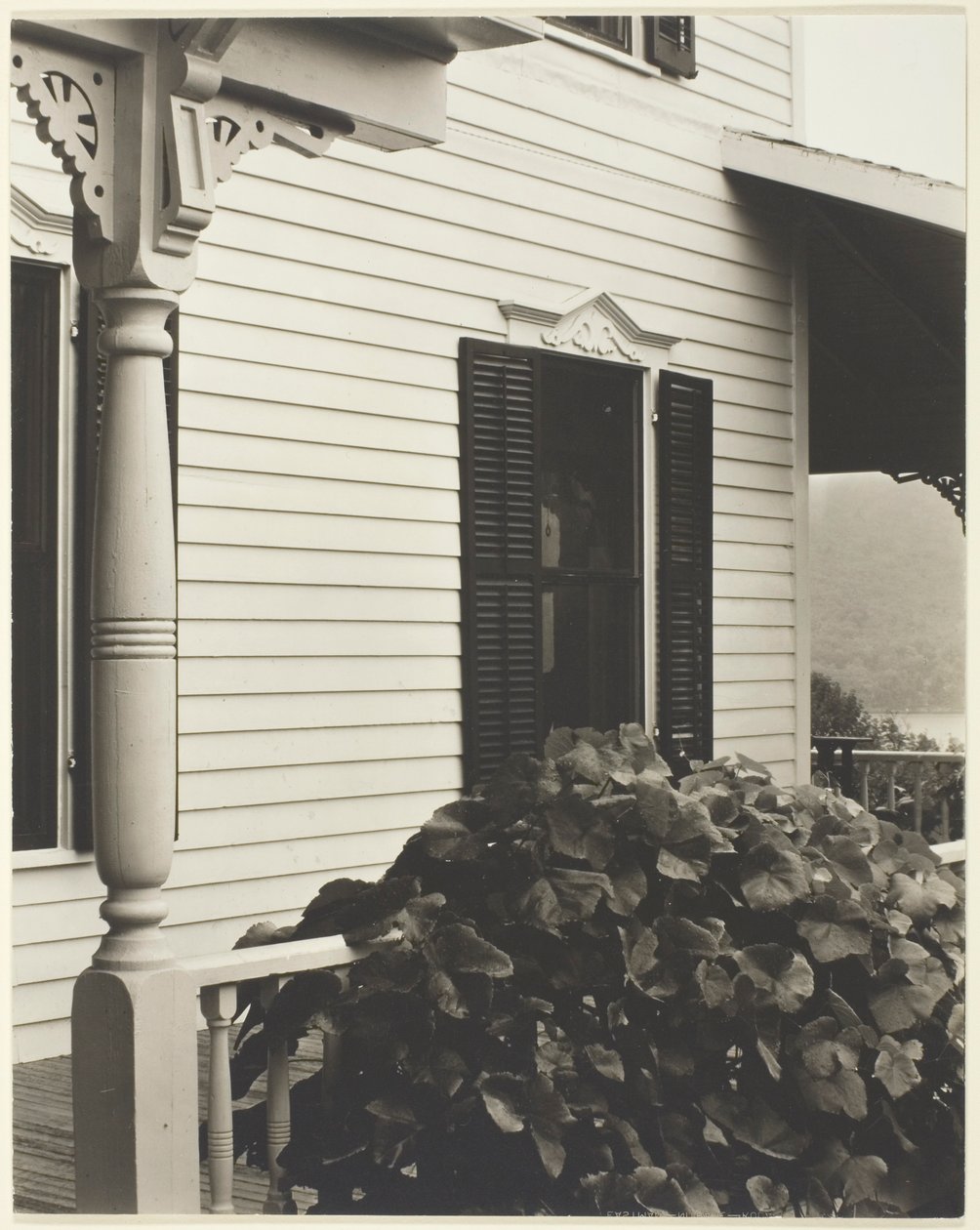 Huis en druivenbladeren door Alfred Stieglitz