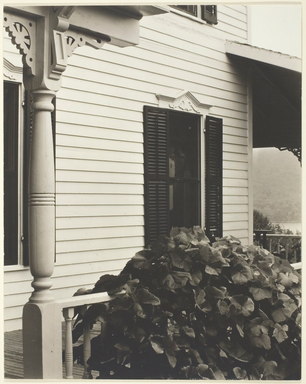 Huis en druivenbladeren, 1934 door Alfred Stieglitz