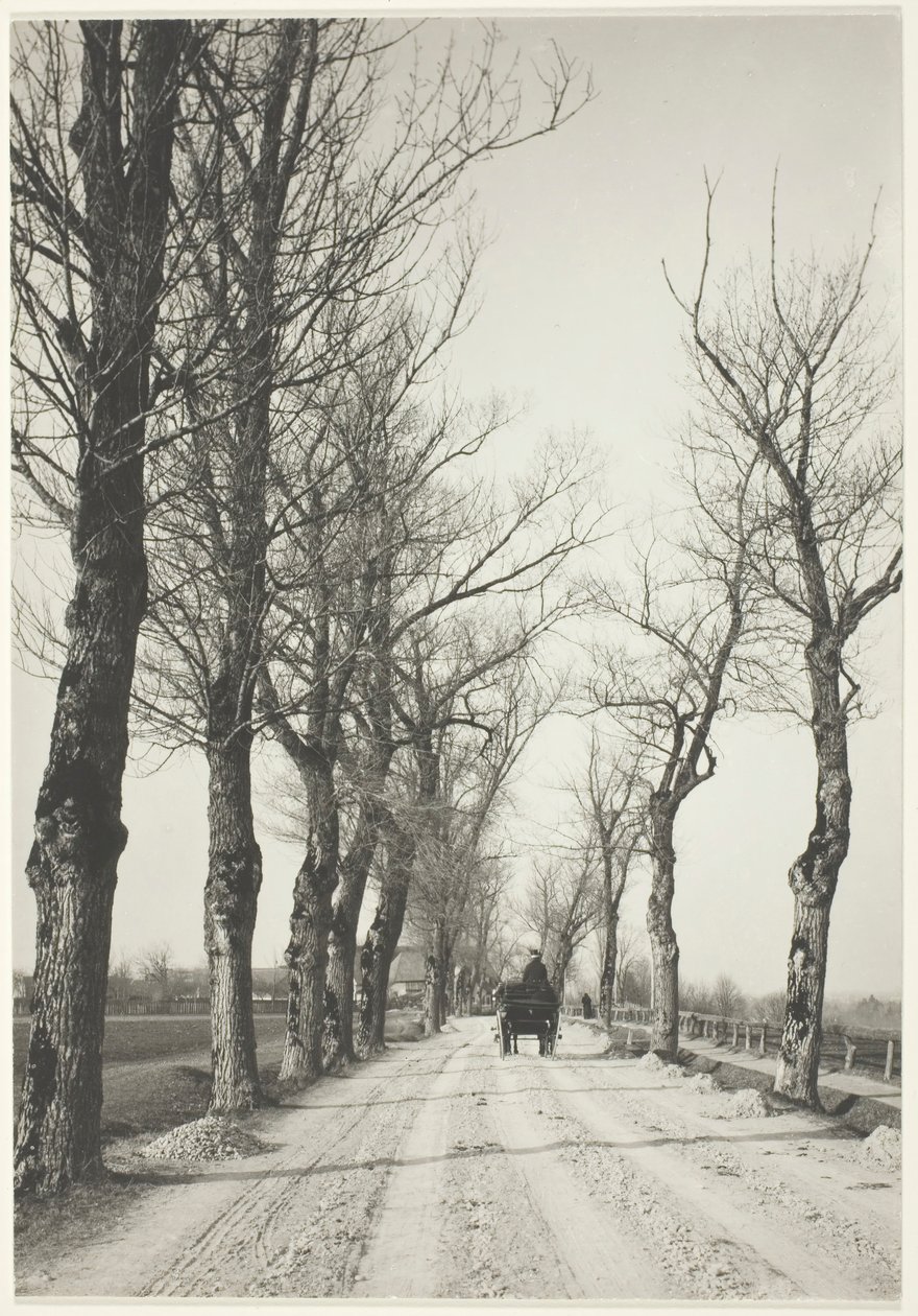 Novemberdagen, 1887, gedrukt 1920-39. door Alfred Stieglitz