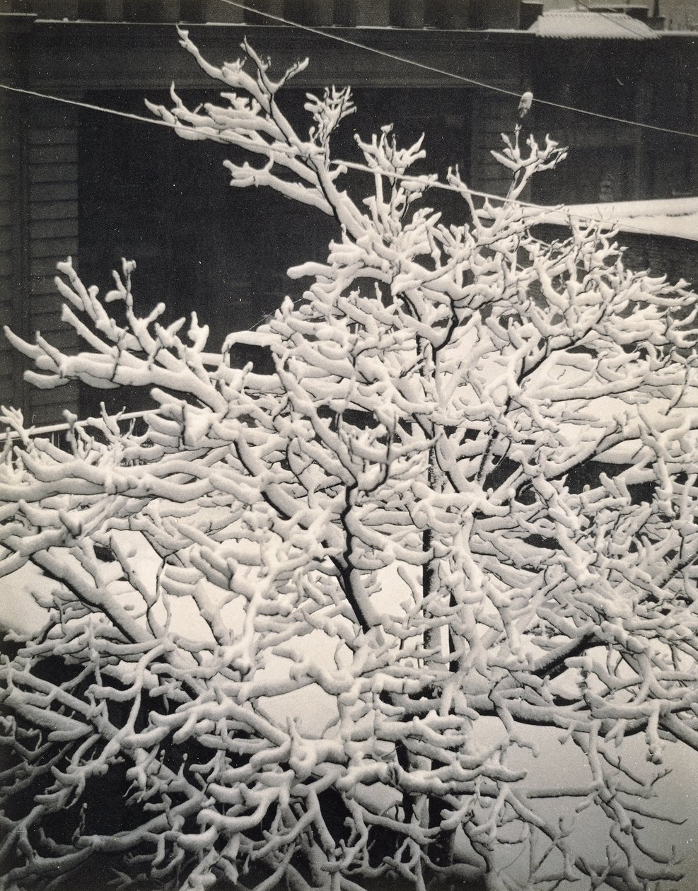 Uit het raam - 291 - N.Y. door Alfred Stieglitz