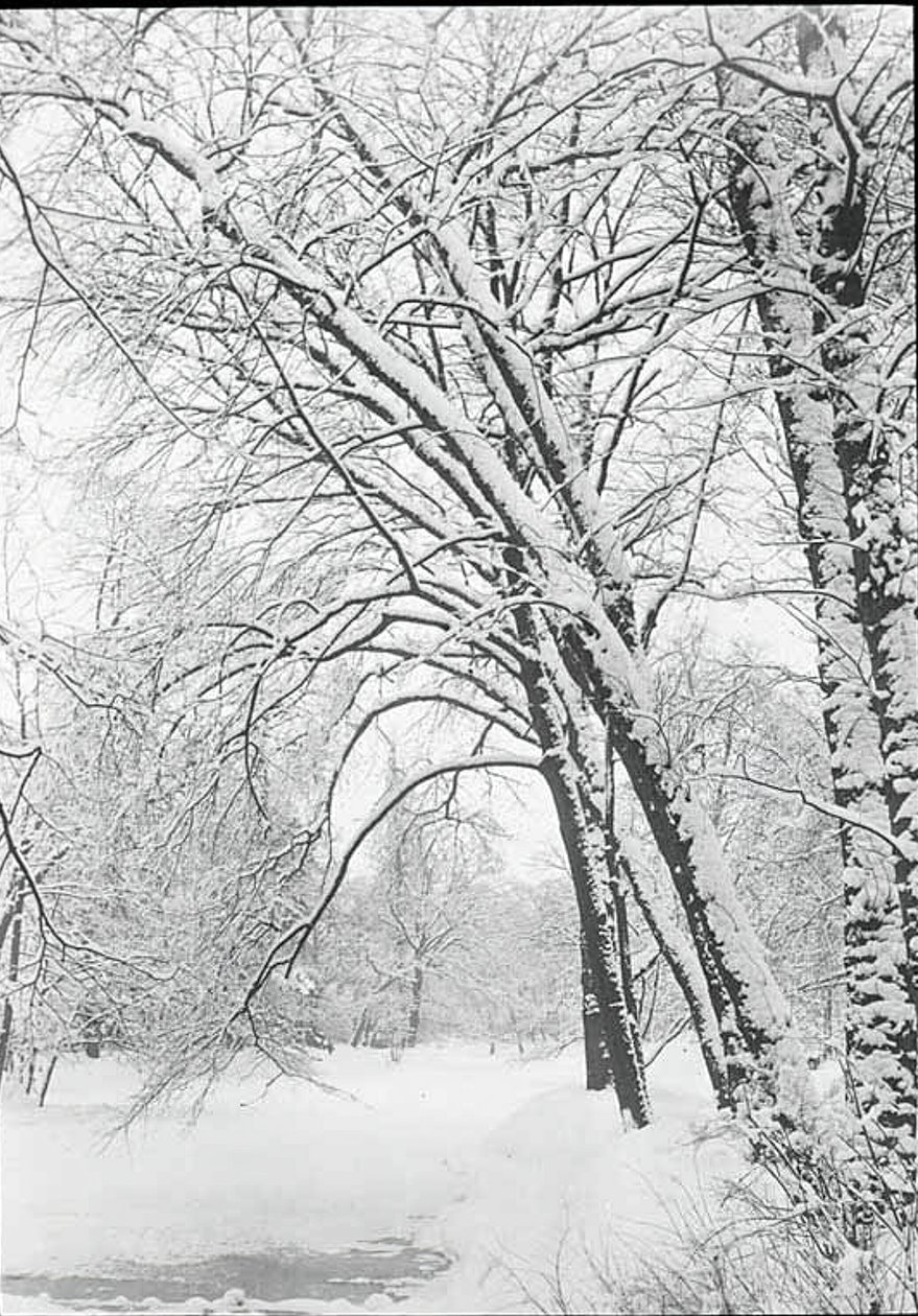 Sneeuwlandschap, Berlijn door Alfred Stieglitz