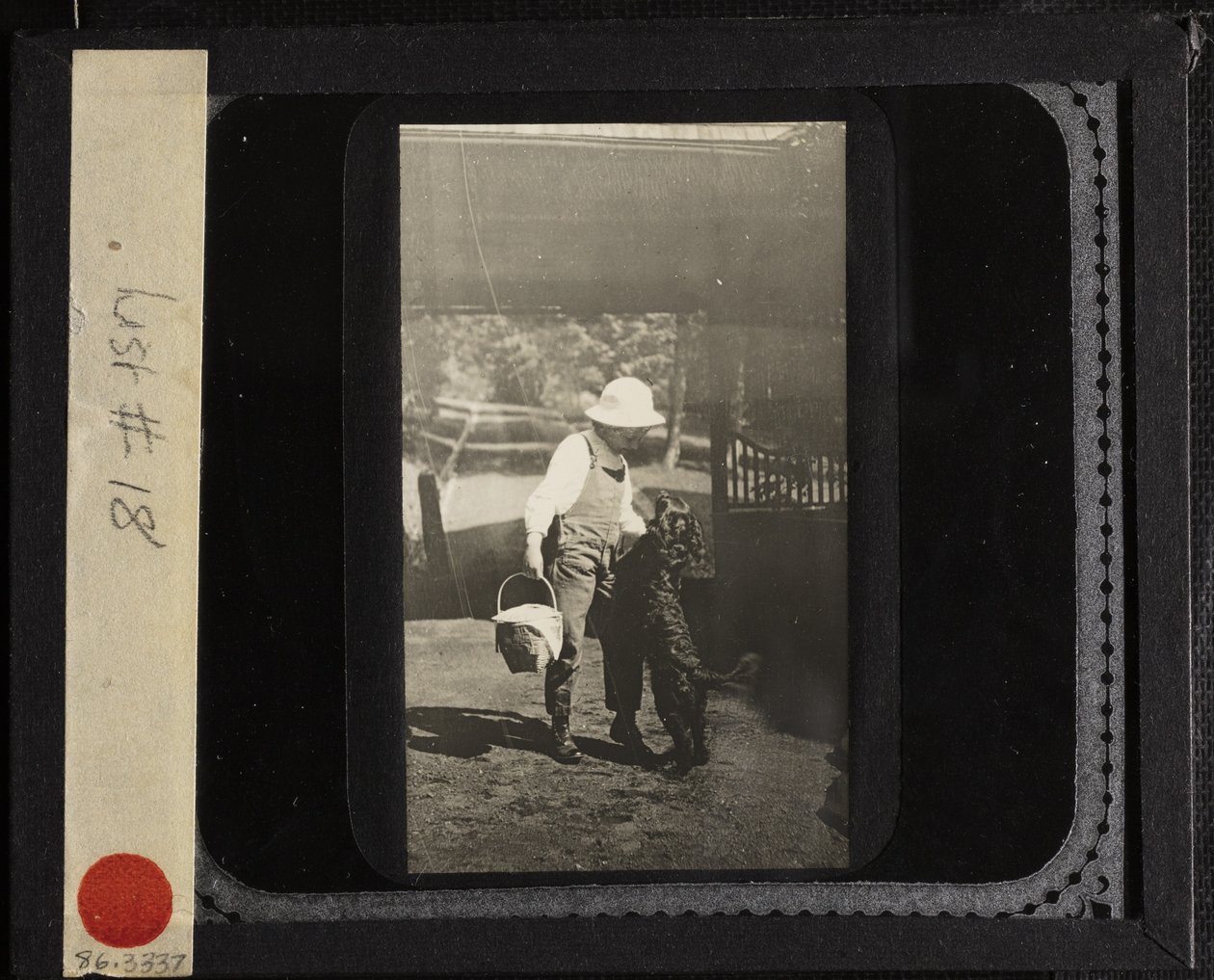Zonder titel (nicht Elizabeth met "Inky" op Oaklawn) door Alfred Stieglitz