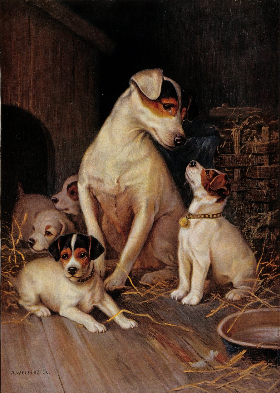 Het kleine meisje en haar honden (prent) door Alfred Weczerzick
