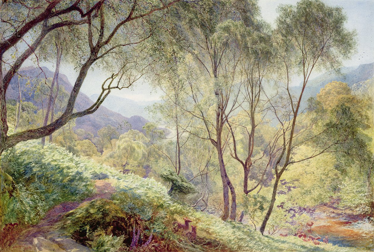 Ullswater vanuit Gowbarrow Park, 1864 door Alfred William Hunt