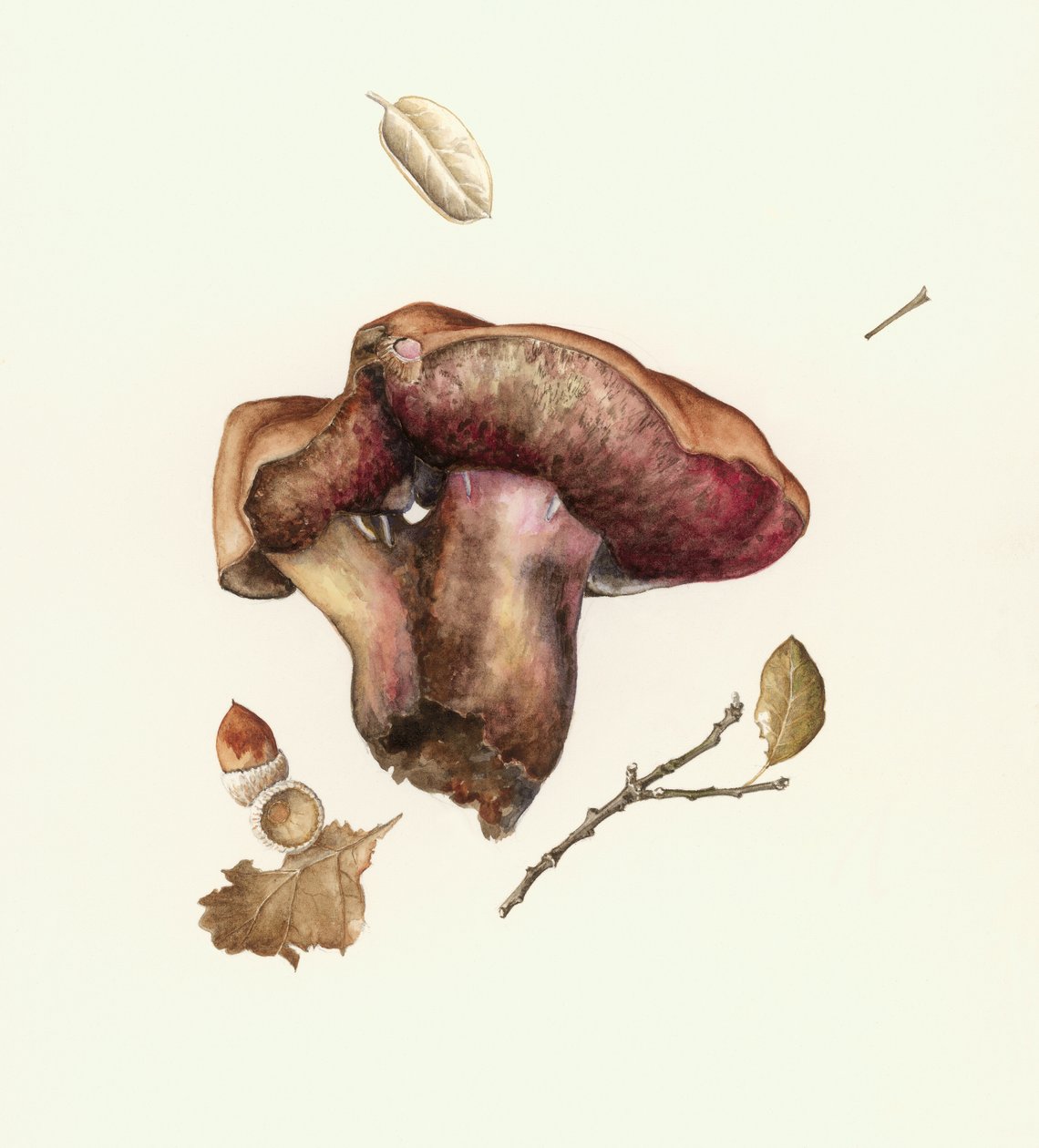 Schimmel door Alison Cooper