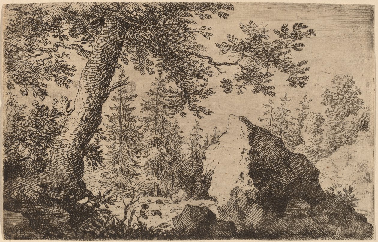 Rots in het Bos door Allart van Everdingen