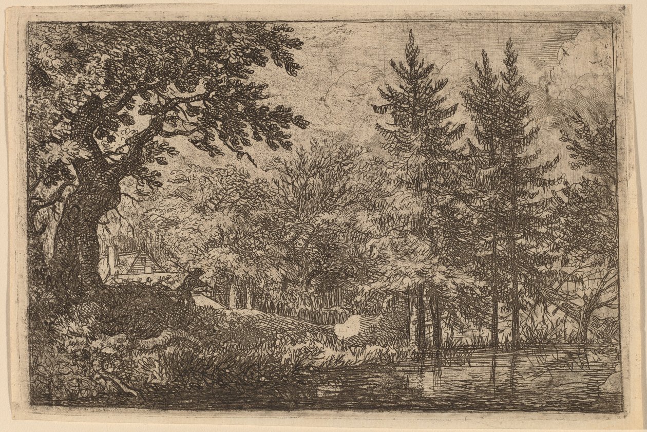 Sparren bij het water door Allart van Everdingen
