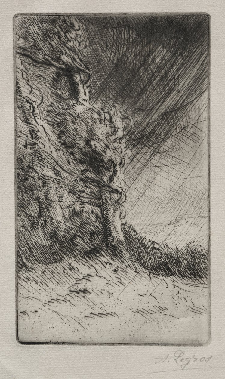 Een Windvlaag door Alphonse Legros