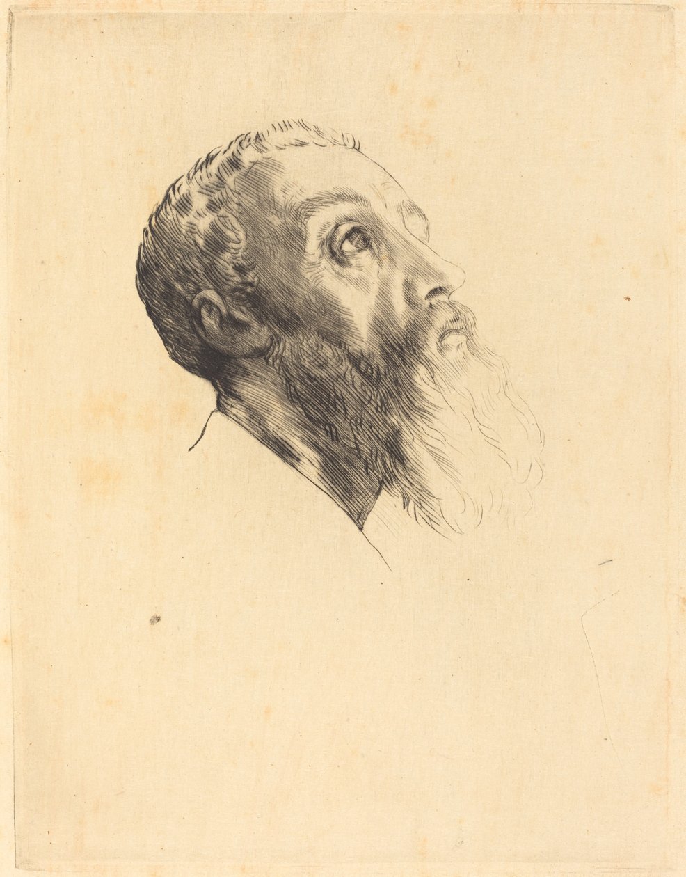 Hoofd van een Model door Alphonse Legros