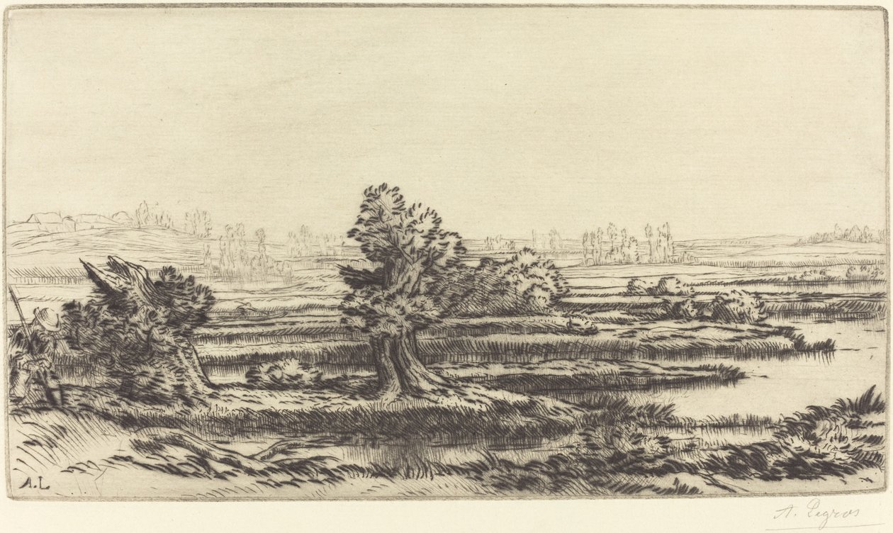 Veenmoerassen (Les Tourbières) door Alphonse Legros