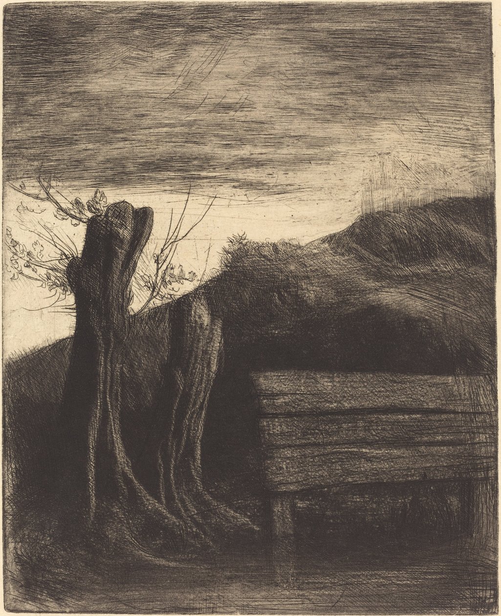 Knotwilgen Les saules tetards door Alphonse Legros