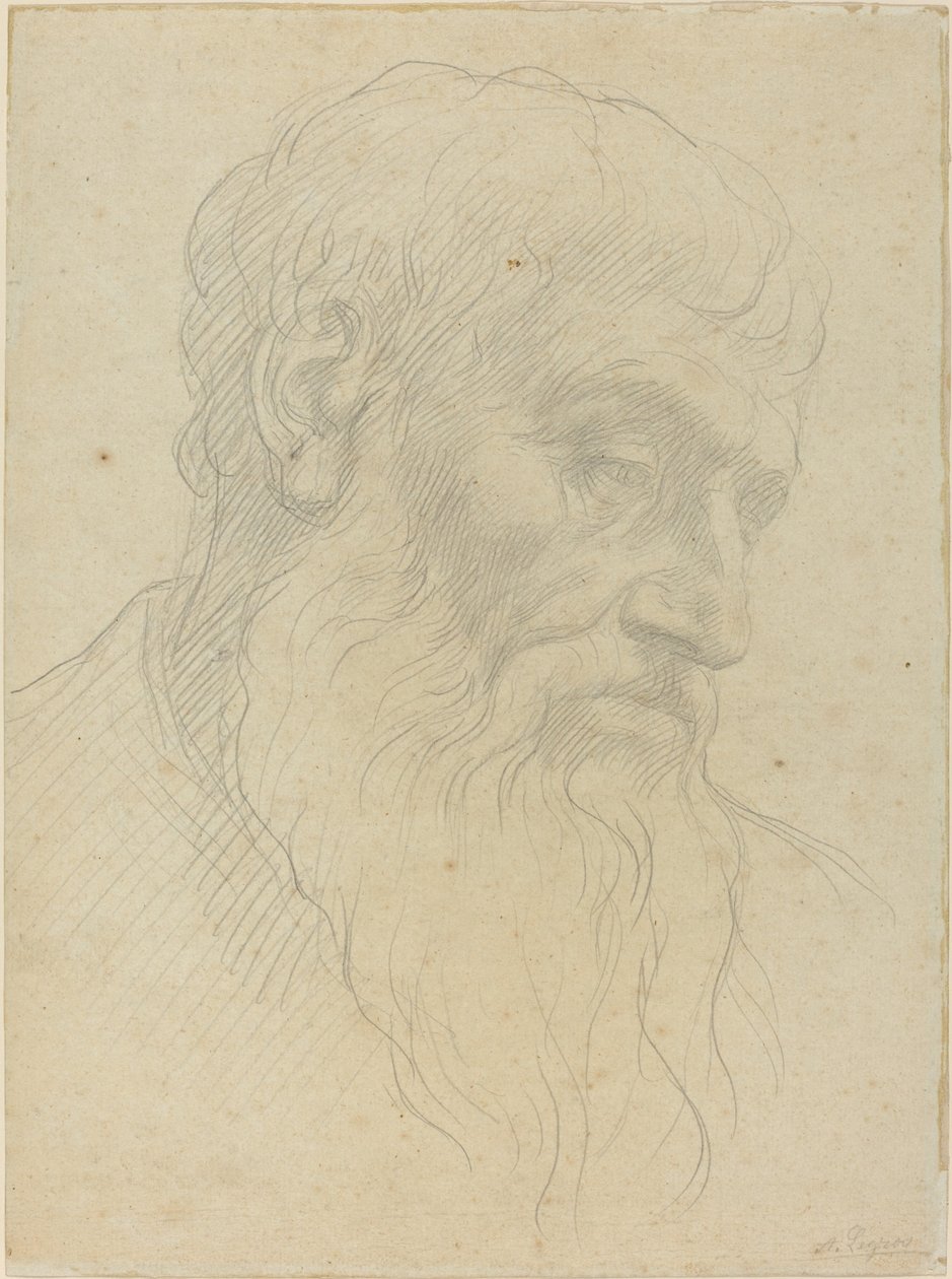 Studie van een hoofd door Alphonse Legros