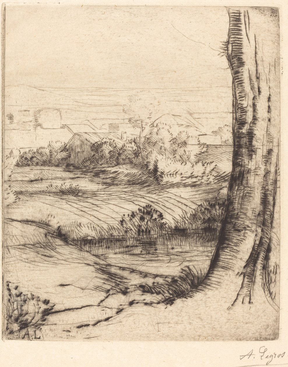 Uitzicht op riet door Alphonse Legros