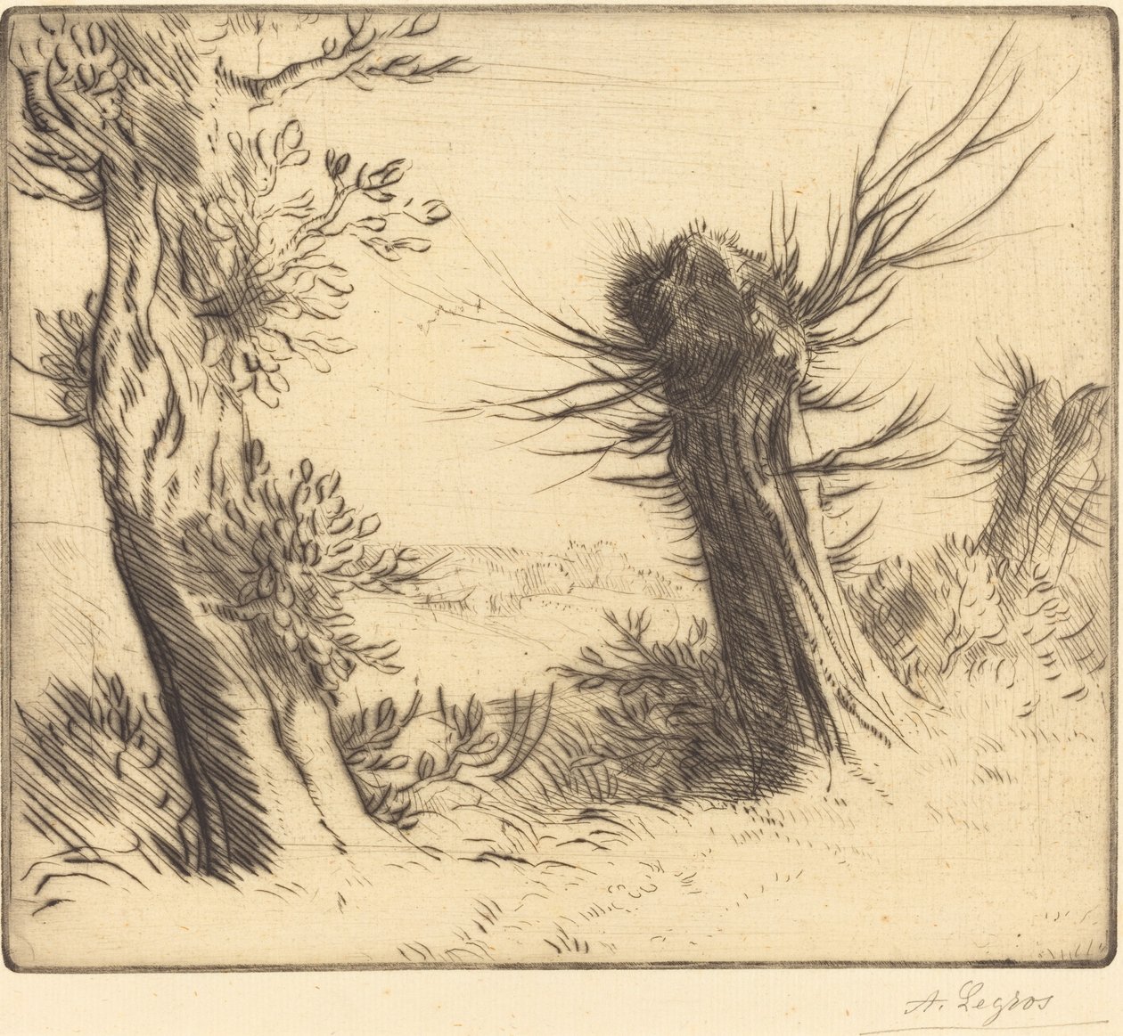 Wilgen (Les saules) door Alphonse Legros