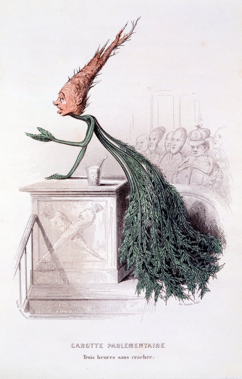 Parlementaire Wortel, illustratie uit 