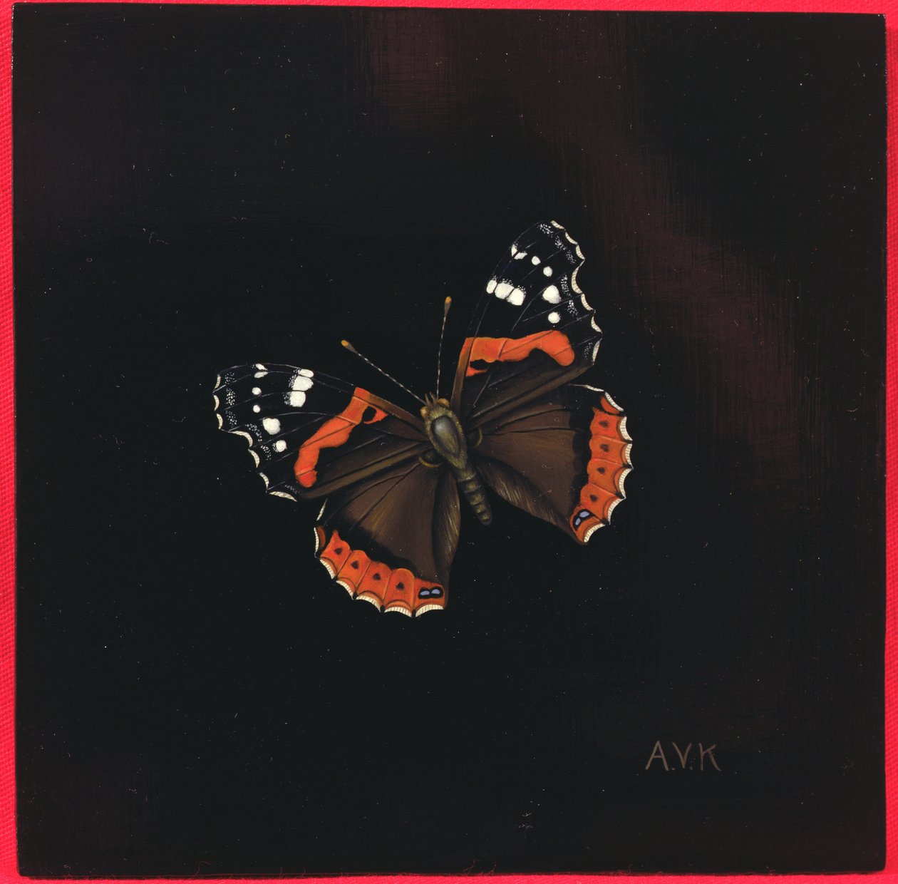 Atalanta vlinder, 2001 door Amelia Kleiser