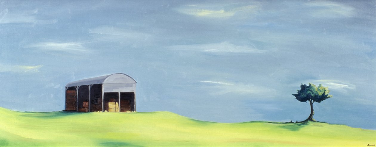 Poulton Fields door Ana Bianchi
