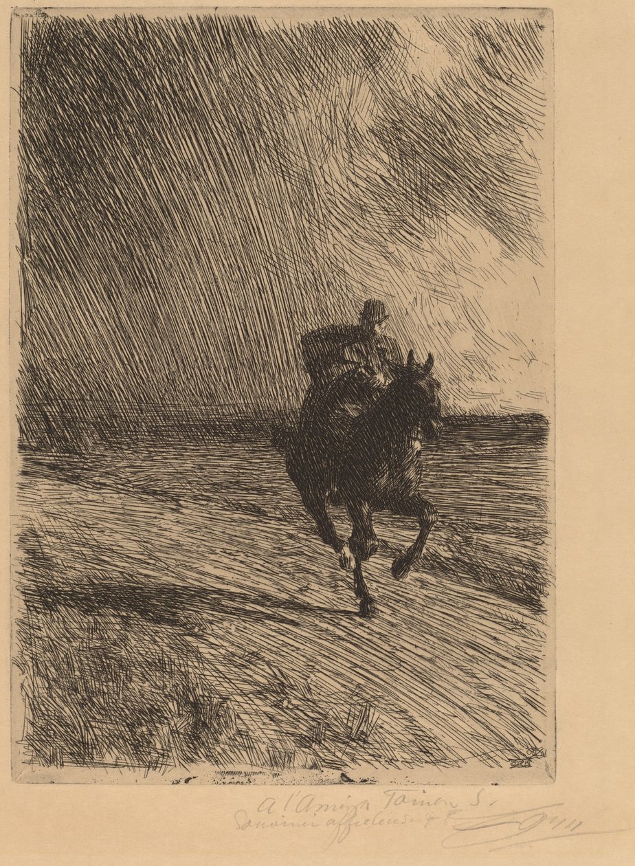 Storm door Anders Leonard Zorn