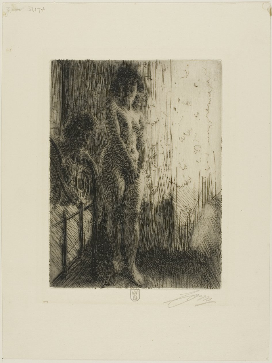 Een Donkere Hoek door Anders Leonard Zorn