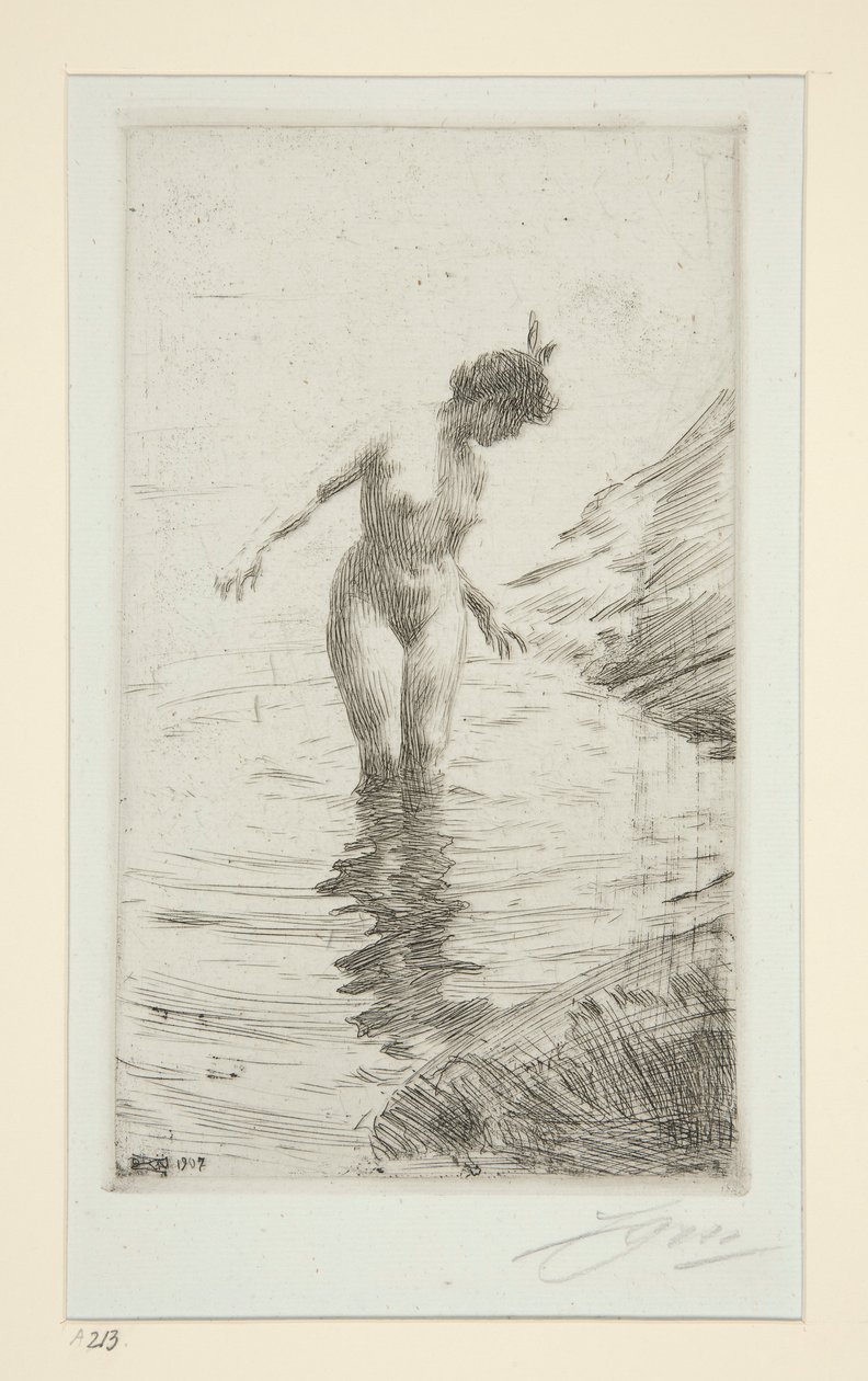 Cercles d door Anders Leonard Zorn