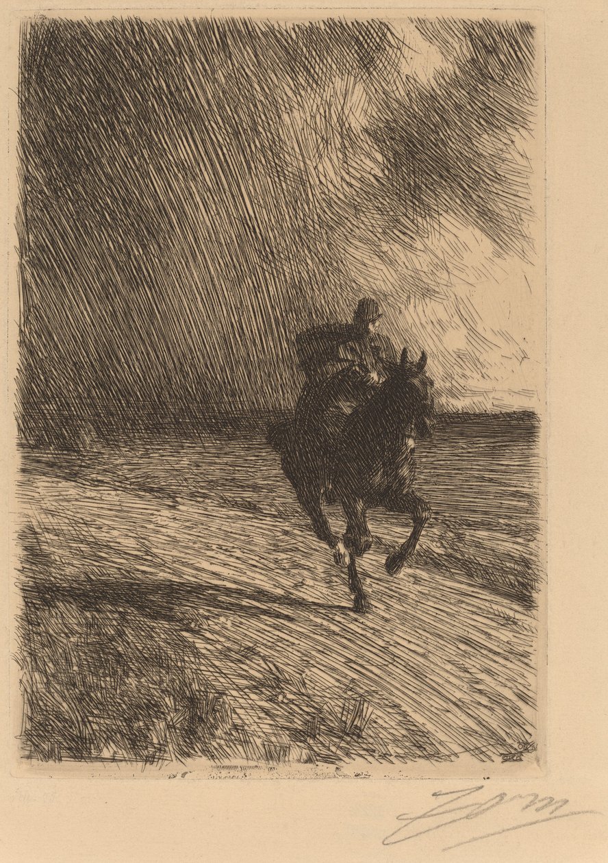 Storm door Anders Leonard Zorn